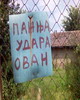 slika korisnika